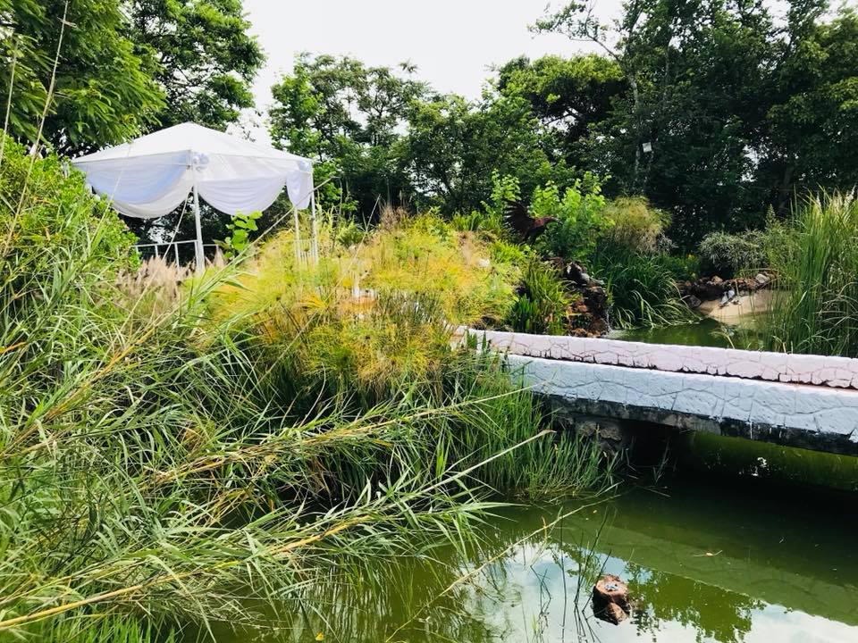 Enchanted Gardens