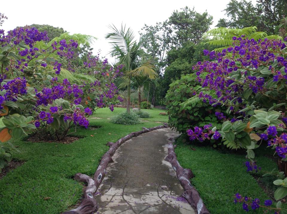 Enchanted Gardens