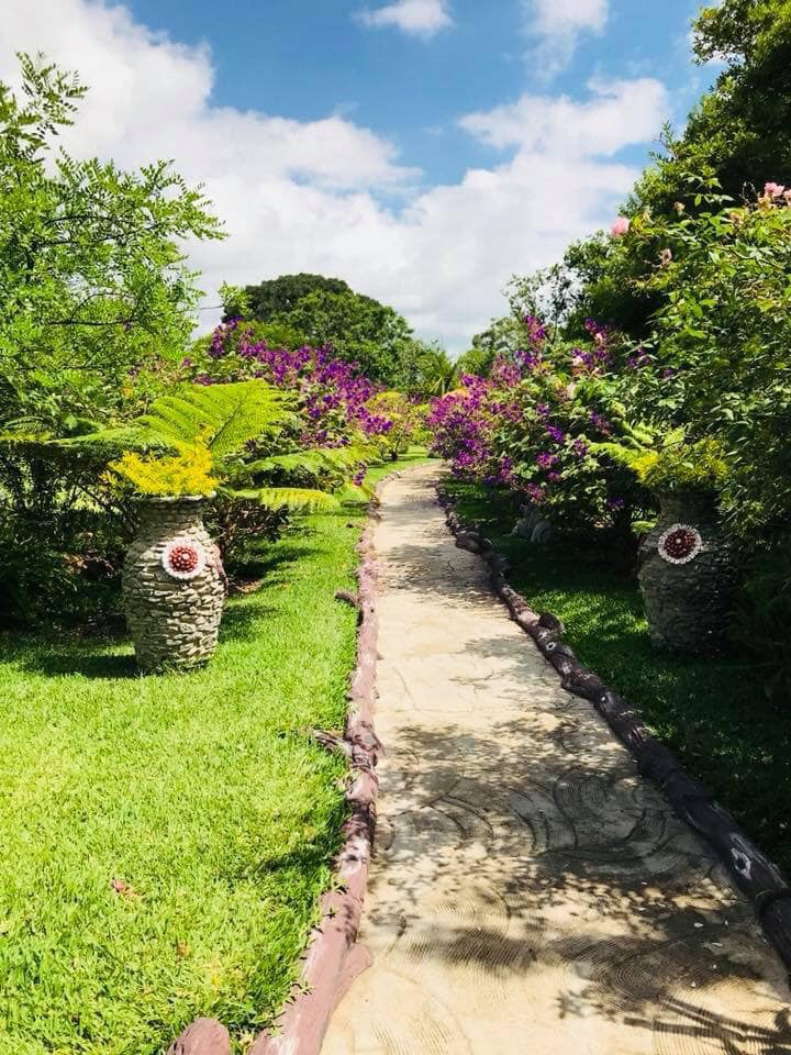 Enchanted Gardens