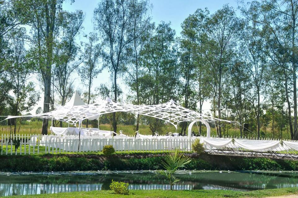 Waterlily Gardens
