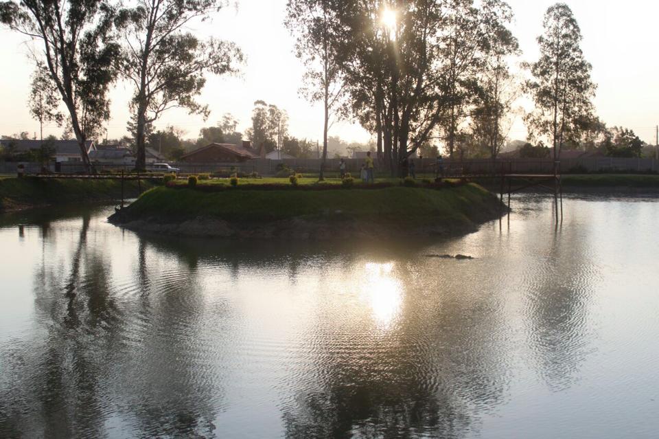 Waterlily Gardens